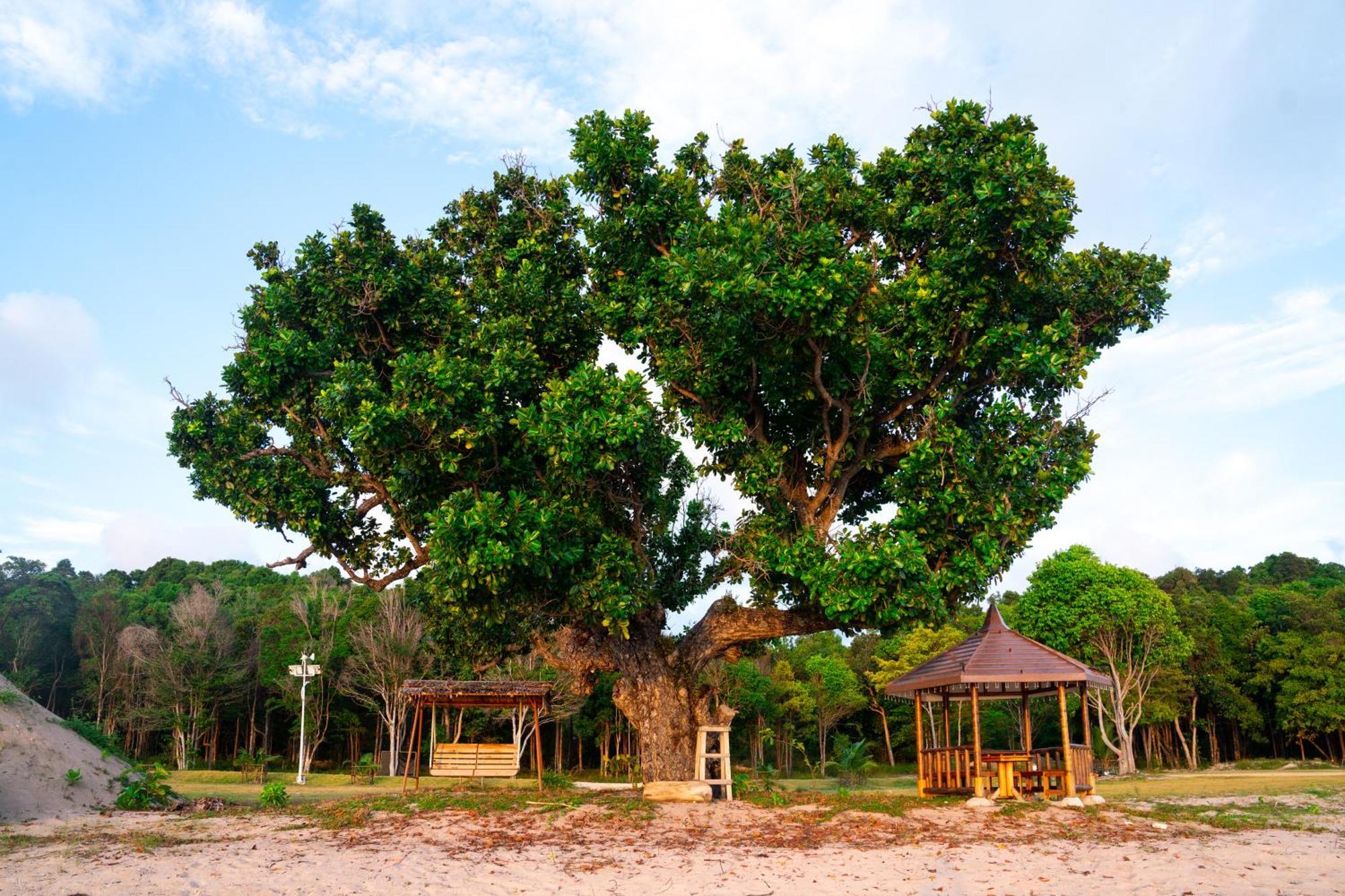 Kepri Coral Resort Galang Island Exterior foto